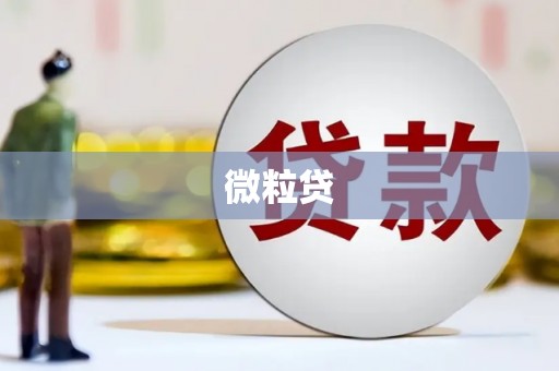 赤壁微粒贷