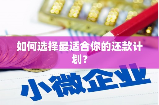 赤壁如何选择最适合你的还款计划？