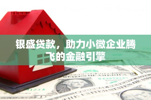赤壁银盛贷款，助力小微企业腾飞的金融引擎