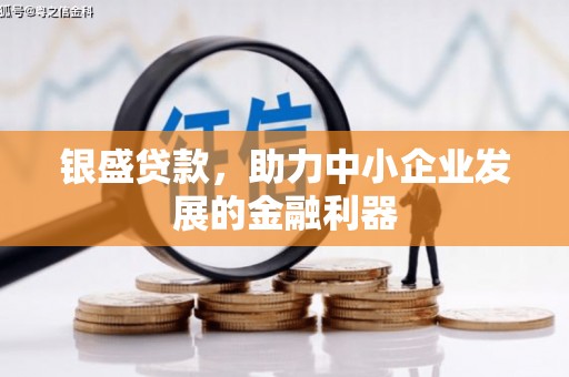 赤壁银盛贷款，助力中小企业发展的金融利器