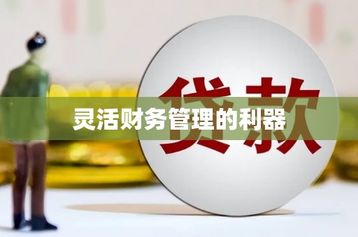 赤壁灵活财务管理的利器