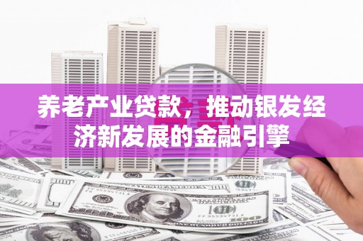 赤壁养老产业贷款，推动银发经济新发展的金融引擎