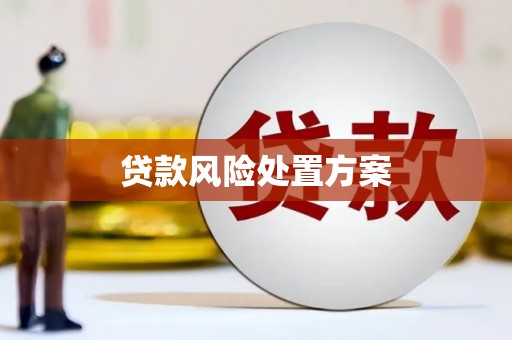 赤壁贷款风险处置方案