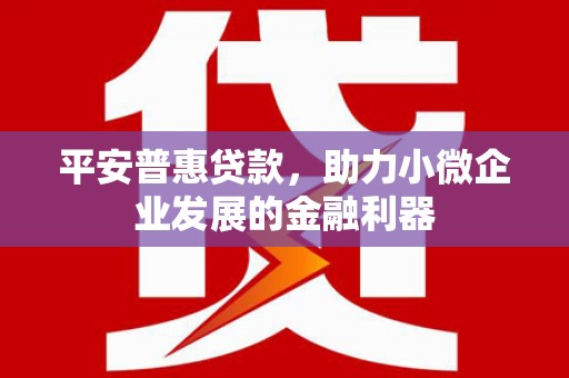 赤壁平安普惠贷款，助力小微企业发展的金融利器