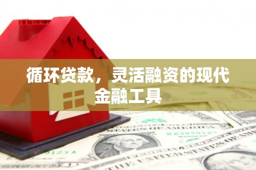 赤壁循环贷款，灵活融资的现代金融工具