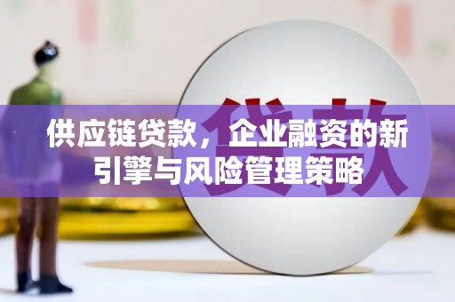 赤壁供应链贷款，企业融资的新引擎与风险管理策略