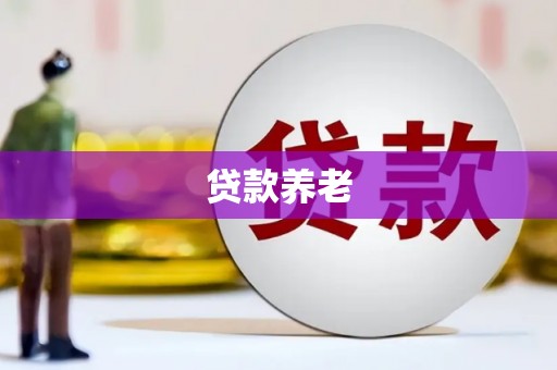 赤壁贷款养老