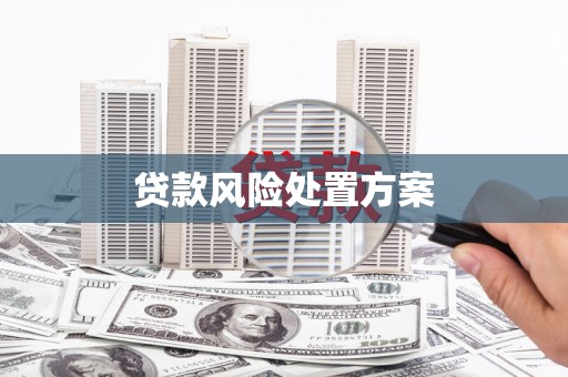 赤壁贷款风险处置方案