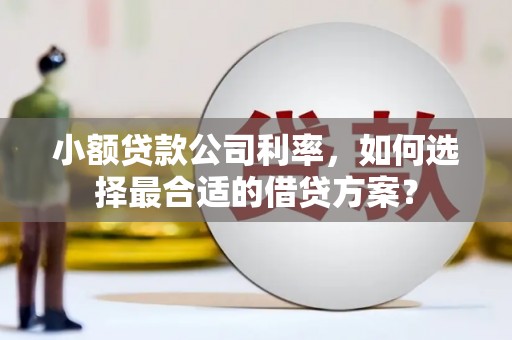 赤壁小额贷款公司利率，如何选择最合适的借贷方案？