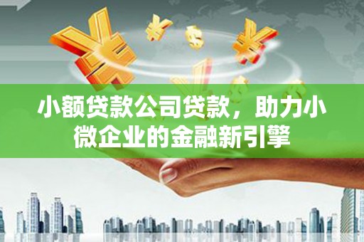赤壁小额贷款公司贷款，助力小微企业的金融新引擎