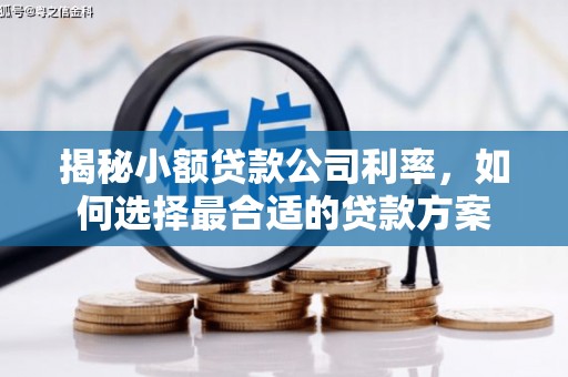 赤壁揭秘小额贷款公司利率，如何选择最合适的贷款方案
