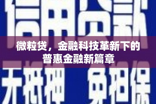 赤壁微粒贷，金融科技革新下的普惠金融新篇章