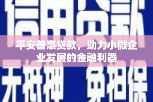 赤壁平安普惠贷款，助力小微企业发展的金融利器