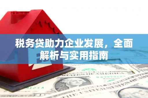 赤壁税务贷助力企业发展，全面解析与实用指南