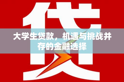 赤壁大学生贷款，机遇与挑战并存的金融选择