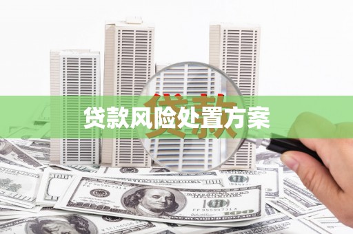 赤壁贷款风险处置方案