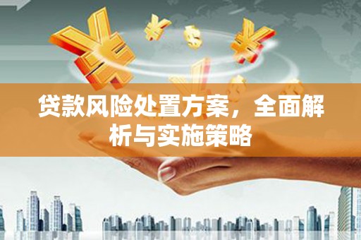 赤壁贷款风险处置方案，全面解析与实施策略